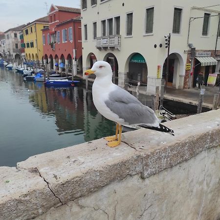 Ca' Dell'Angelo Chioggia Exterior foto